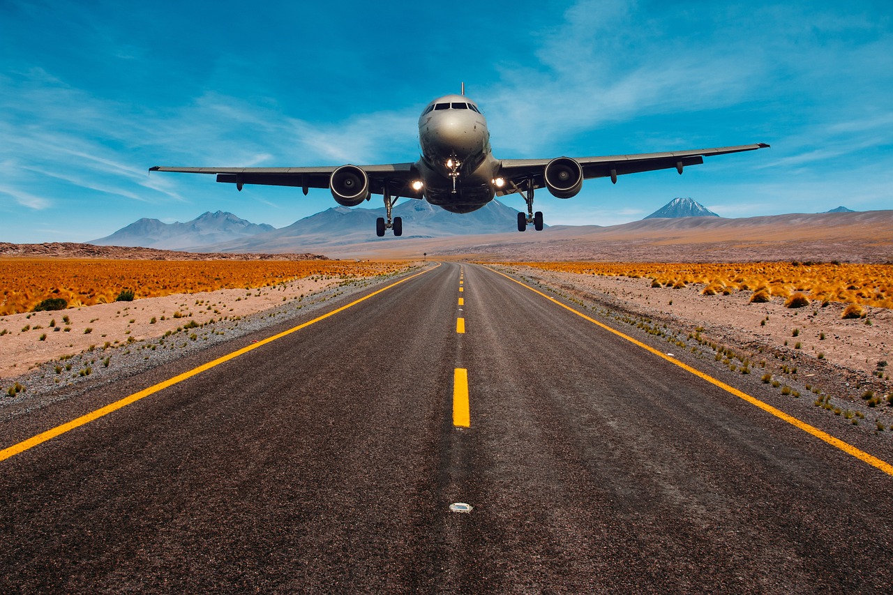 aeroplane, fly, flying, landing, transport, highway, road, sky, artwork, brown sky, brown road, brown plane, nature, brown airplane